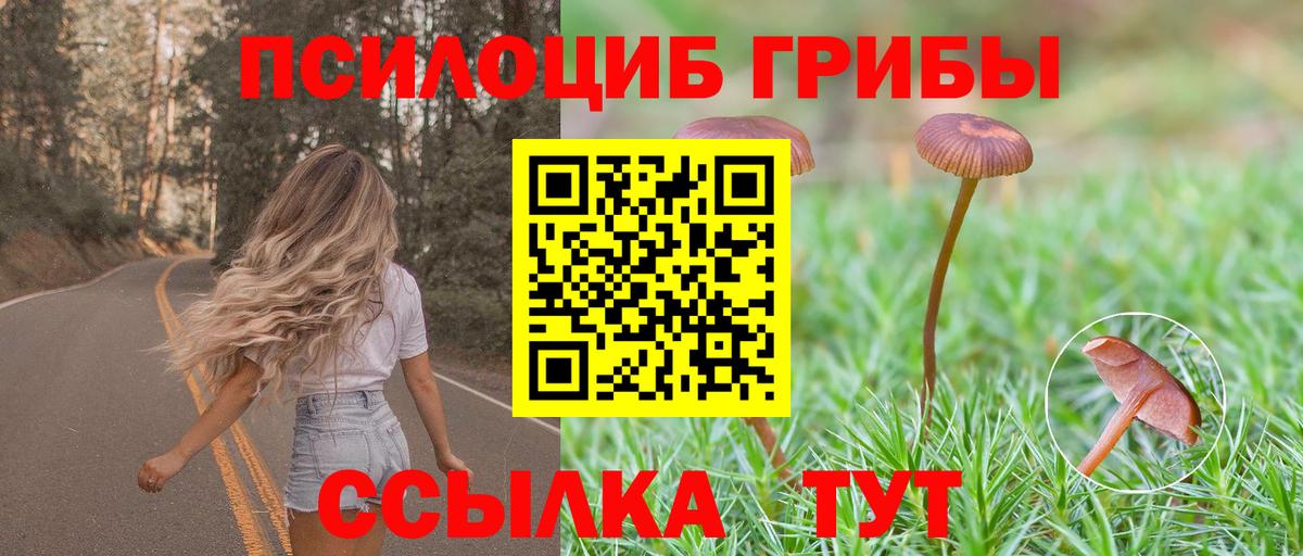 Псилоцибиновые грибы мицелий  Вход с VPN  Гай 